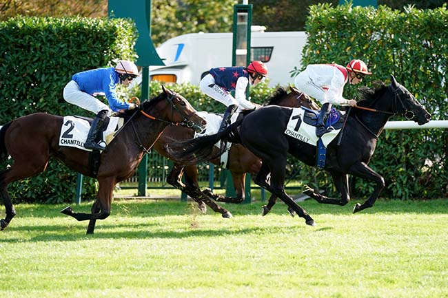 Photo d'arrivée de la course pmu PRIX DE LA MONTIGNETTE à CHANTILLY le Samedi 7 octobre 2023