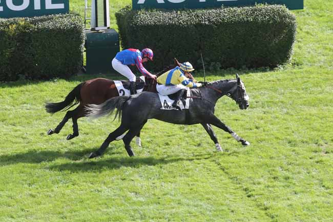 Photo d'arrivée de la course pmu PRIX BISON FUTE à AUTEUIL le Dimanche 8 octobre 2023