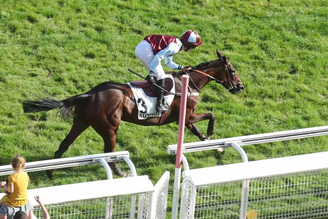 Photo d'arrivée de la course pmu PRIX BEAUREPAIRE à AUTEUIL le Dimanche 8 octobre 2023