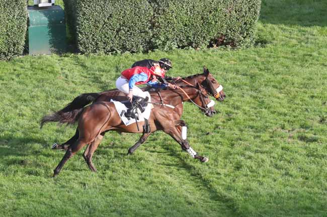 Photo d'arrivée de la course pmu PRIX BAYONNET à AUTEUIL le Dimanche 8 octobre 2023