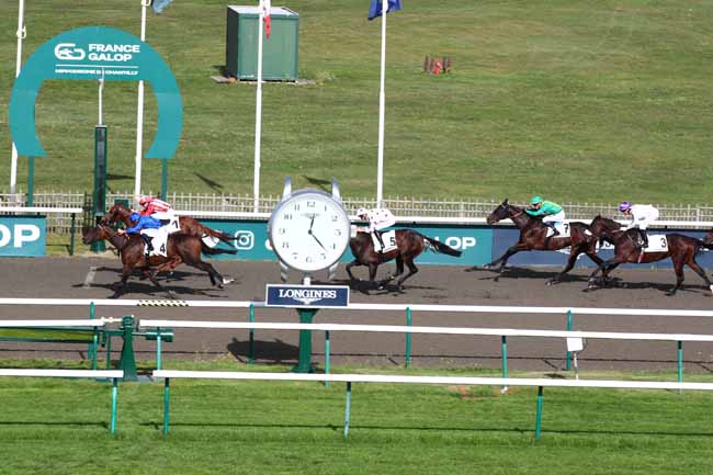 Photo d'arrivée de la course pmu PRIX DU MONT GRIFFON à CHANTILLY le Mercredi 11 octobre 2023