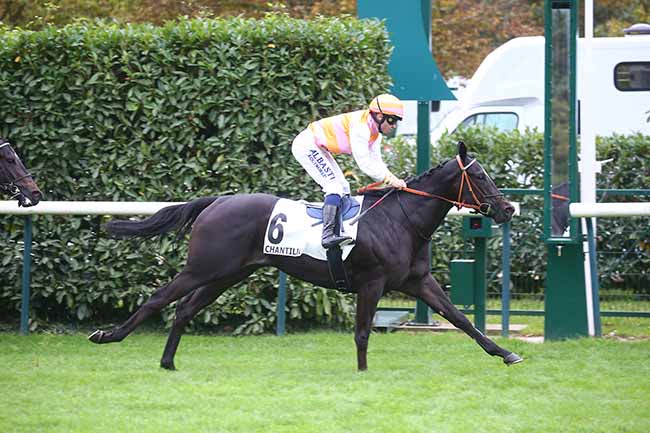 Photo d'arrivée de la course pmu PRIX DU JARDIN ANGLAIS à CHANTILLY le Jeudi 12 octobre 2023