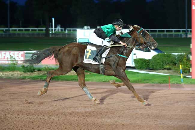 Photo d'arrivée de la course pmu PRIX DE LA PLACE DU CANADA à ENGHIEN le Jeudi 12 octobre 2023