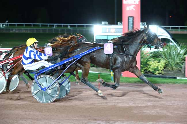 Photo d'arrivée de la course pmu PRIX DE MAURON à ENGHIEN le Jeudi 12 octobre 2023