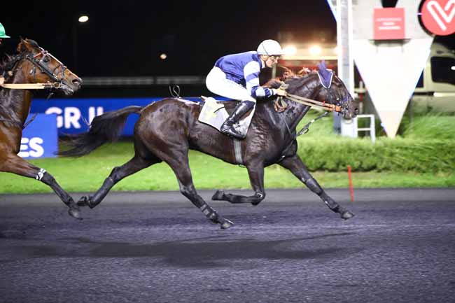 Photo d'arrivée de la course pmu PRIX EDMOND HENRY à PARIS-VINCENNES le Vendredi 13 octobre 2023