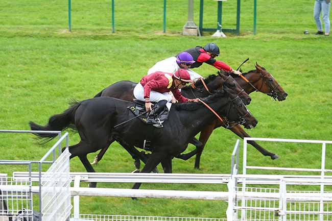 Photo d'arrivée de la course pmu PRIX DE L'ETANG DE L'ETOT à COMPIEGNE le Vendredi 13 octobre 2023