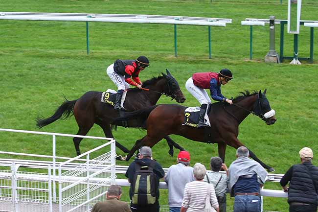 Photo d'arrivée de la course pmu PRIX EULALIE à COMPIEGNE le Vendredi 13 octobre 2023