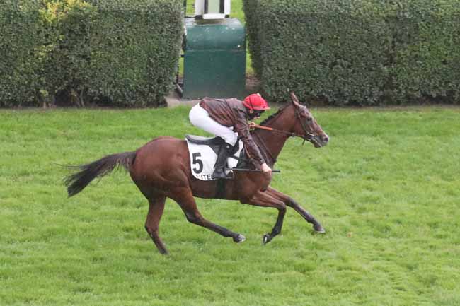Photo d'arrivée de la course pmu PRIX DUC D'ALBURQUERQUE à AUTEUIL le Samedi 14 octobre 2023