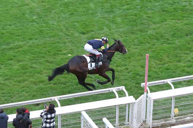 Photo d'arrivée de la course pmu PRIX GEORGES DE TALHOUET-ROY à AUTEUIL le Samedi 14 octobre 2023