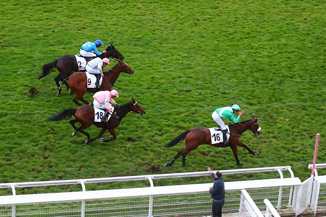 Photo d'arrivée de la course pmu PRIX MISS HUNGERFORD à AUTEUIL le Samedi 14 octobre 2023