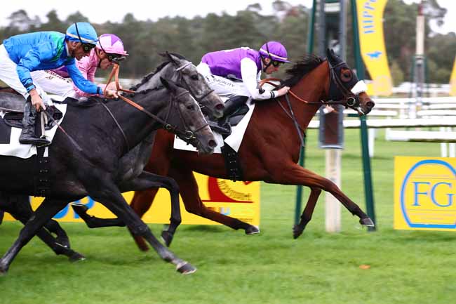 Photo d'arrivée de la course pmu PRIX DES ACACIAS à FONTAINEBLEAU le Samedi 14 octobre 2023