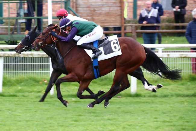 Photo d'arrivée de la course pmu PRIX DE LA PORTE NADON à FONTAINEBLEAU le Samedi 14 octobre 2023