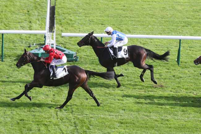 Photo d'arrivée de la course pmu PRIX DE BELLEVILLE à LONGCHAMP le Dimanche 15 octobre 2023