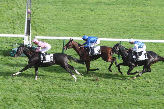 Photo d'arrivée de la course pmu PRIX DU CONSEIL DE PARIS à LONGCHAMP le Dimanche 15 octobre 2023