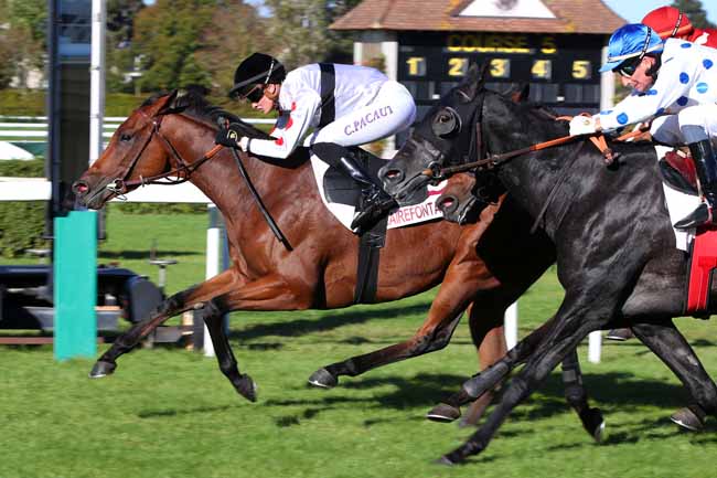 Photo d'arrivée de la course pmu PRIX ZETURF (PRIX DE BENEAUVILLE) à CLAIREFONTAINE le Lundi 16 octobre 2023