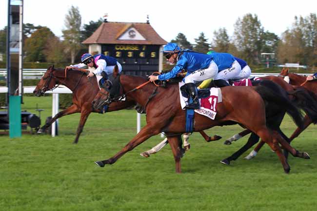 Photo d'arrivée de la course pmu PRIX MERCI AUX RESTAURANTS PARTENAIRES 2023 (PRIX DE LA COUTURE BARDIN) à CLAIREFONTAINE le Lundi 16 octobre 2023