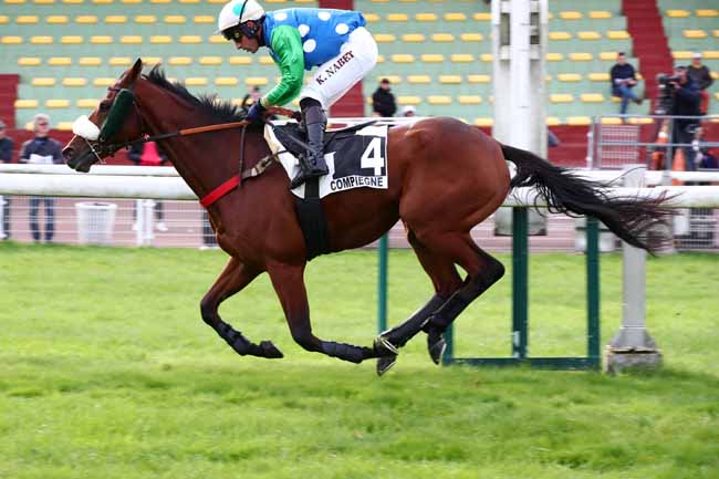 Photo d'arrivée de la course pmu PRIX BULAN à COMPIEGNE le Lundi 16 octobre 2023