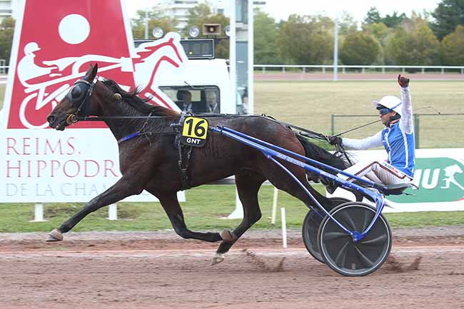 Photo d'arrivée de la course pmu GRAND NATIONAL DU TROT à REIMS le Mercredi 18 octobre 2023