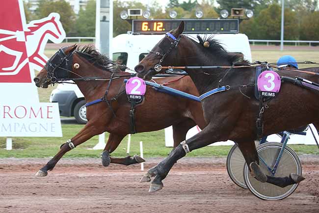 Photo d'arrivée de la course pmu PRIX DE L'UNAT - GRAND NATIONAL AMATEURS à REIMS le Mercredi 18 octobre 2023