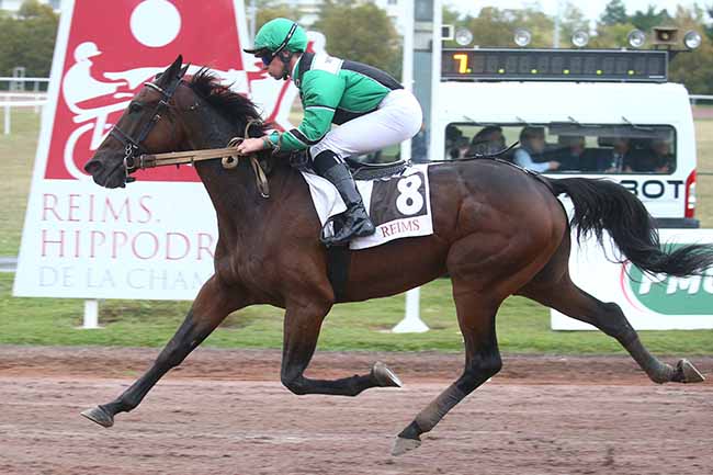 Photo d'arrivée de la course pmu PRIX NOUVEAUX PARTENAIRES PMU - GN JOCKEYS (PRIX DE LA MARNE) à REIMS le Mercredi 18 octobre 2023