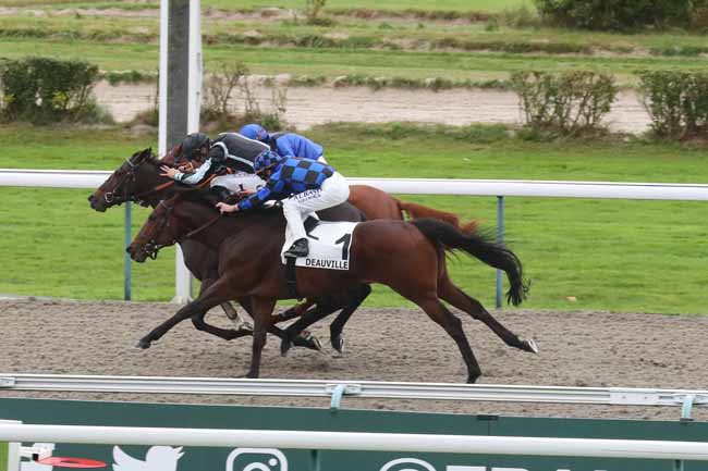 Photo d'arrivée de la course pmu PRIX DE LA MONNERIE à DEAUVILLE le Mercredi 18 octobre 2023
