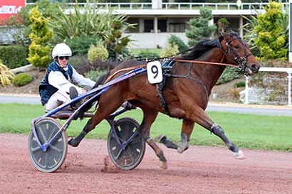 Photo d'arrivée de la course pmu PRIX DU FAUBOURG SAINT-HONORE à ENGHIEN le Jeudi 19 octobre 2023