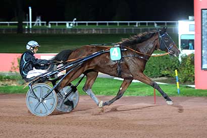 Photo d'arrivée de la course pmu PRIX DE RIBEMONT à ENGHIEN le Jeudi 19 octobre 2023