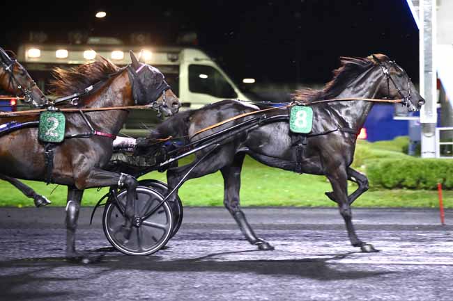 Photo d'arrivée de la course pmu PRIX LOUIS CAUCHOIS à PARIS-VINCENNES le Vendredi 20 octobre 2023
