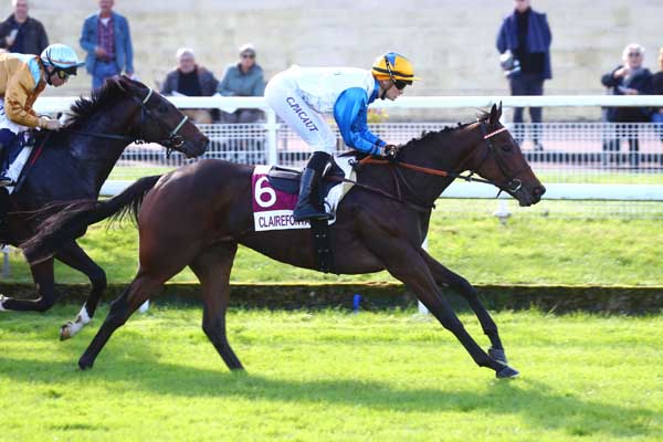 Photo d'arrivée de la course pmu PRIX WWW.MONEVENEMENTADEAUVILLE.COM (PRIX DE CALLEVILLE) à CLAIREFONTAINE le Vendredi 20 octobre 2023