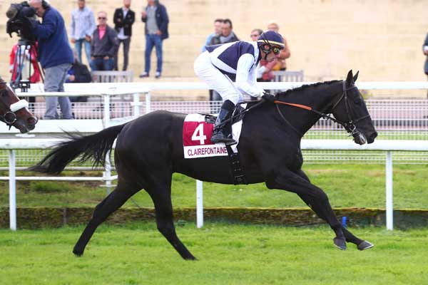 Photo d'arrivée de la course pmu CLOTURE DU MEETING ATHIPPIQUE 2023 (PRIX DE LA CROIX FERRET) à CLAIREFONTAINE le Vendredi 20 octobre 2023