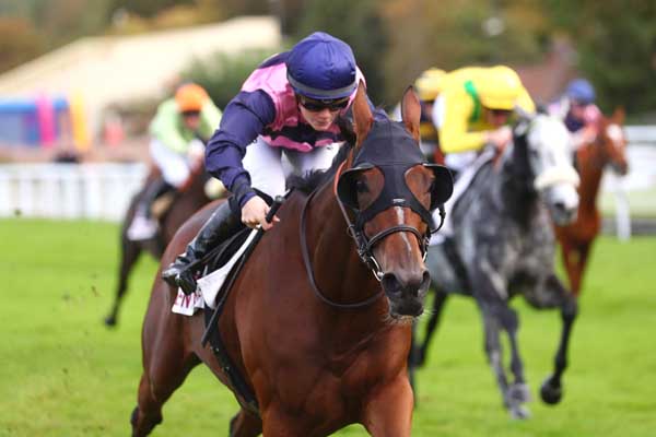 Photo d'arrivée de la course pmu RENDEZ-VOUS LE MARDI 18 JUIN 2024 (PRIX DU LIEU BILL) à CLAIREFONTAINE le Vendredi 20 octobre 2023