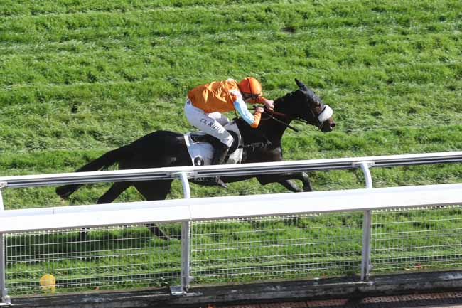 Photo d'arrivée de la course pmu PRIX MAGNE à AUTEUIL le Vendredi 20 octobre 2023