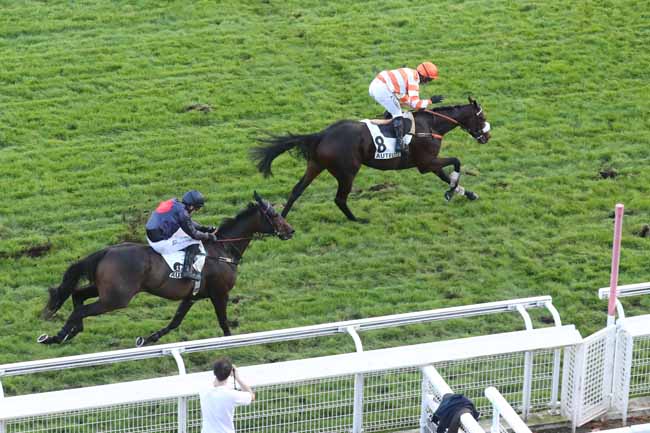 Photo d'arrivée de la course pmu PRIX PETIT FONTAINE à AUTEUIL le Vendredi 20 octobre 2023