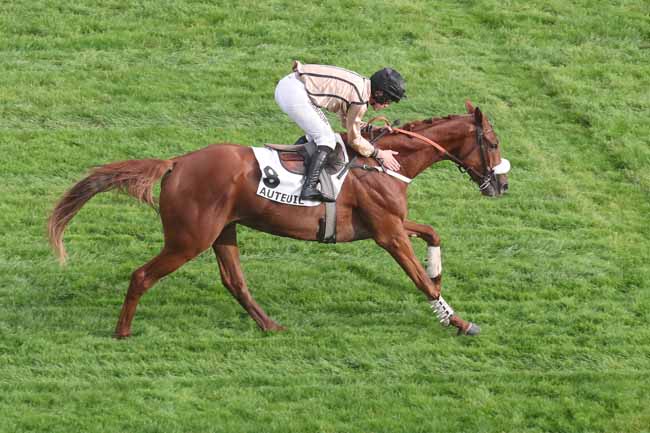 Photo d'arrivée de la course pmu PRIX ROBERT BATES à AUTEUIL le Vendredi 20 octobre 2023