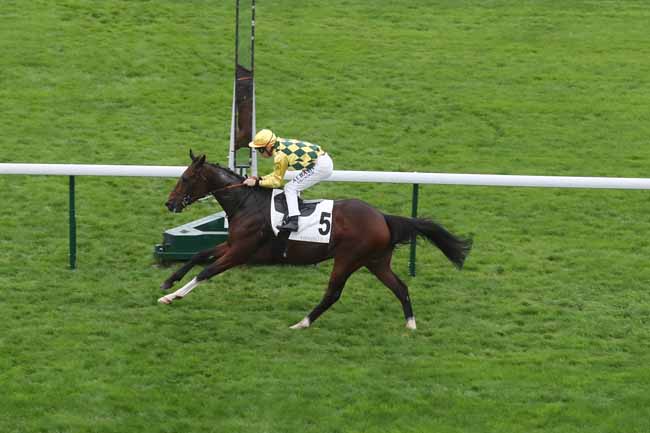 Photo d'arrivée de la course pmu PRIX DE LA MONNAIE DE PARIS à LONGCHAMP le Samedi 21 octobre 2023