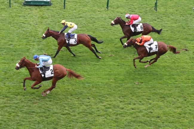 Photo d'arrivée de la course pmu PRIX DE DANGU à LONGCHAMP le Samedi 21 octobre 2023