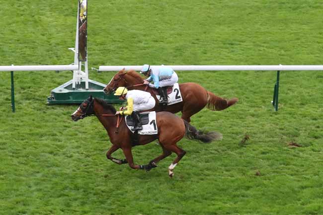 Photo d'arrivée de la course pmu PRIX DES ARENES DE LUTECE à LONGCHAMP le Samedi 21 octobre 2023