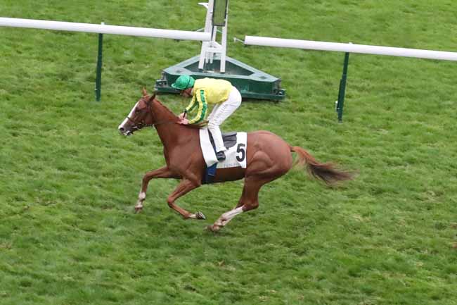 Photo d'arrivée de la course pmu PRIX DU CHATEAU D'AUVERS-SUR-OISE à LONGCHAMP le Samedi 21 octobre 2023