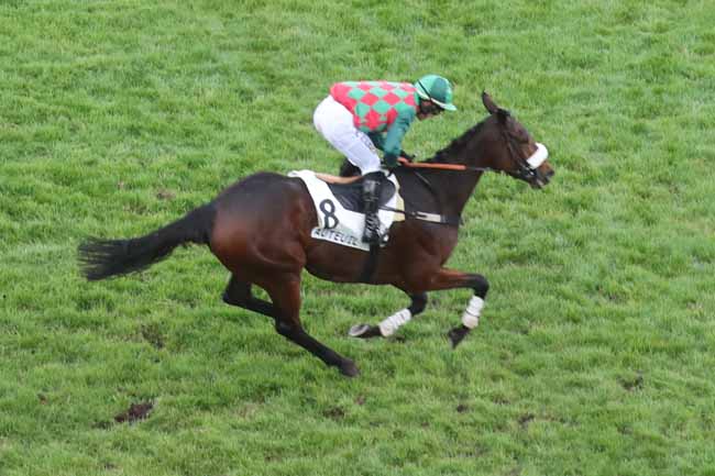 Photo d'arrivée de la course pmu PRIX JEAN SENS à AUTEUIL le Mardi 24 octobre 2023