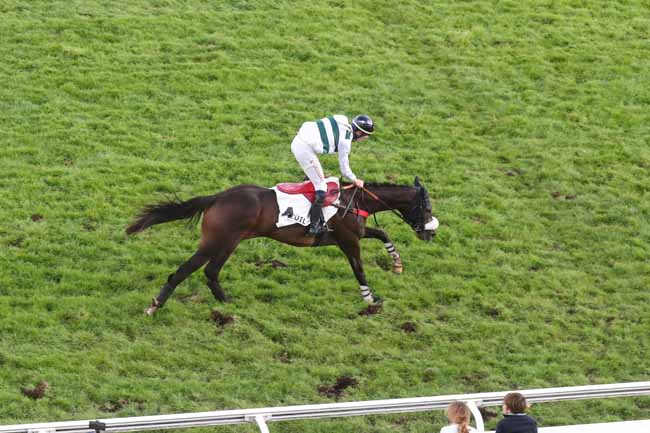 Photo d'arrivée de la course pmu PRIX LA FREGATE à AUTEUIL le Mardi 24 octobre 2023