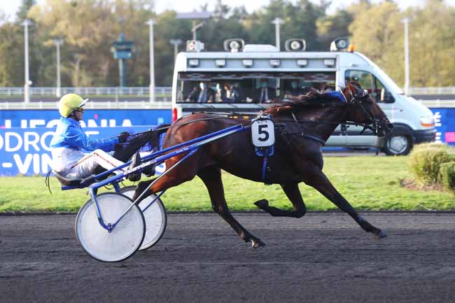 Photo d'arrivée de la course pmu PRIX CALIFORNIA à PARIS-VINCENNES le Mardi 24 octobre 2023