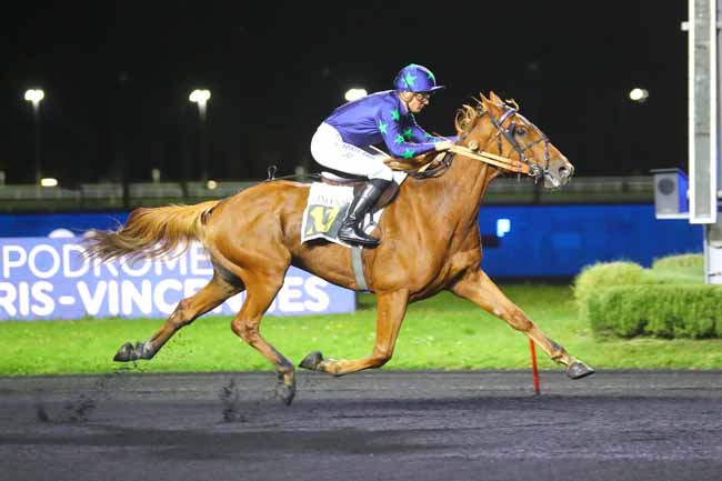 Photo d'arrivée de la course pmu PRIX CHRYSEIS à PARIS-VINCENNES le Mardi 24 octobre 2023