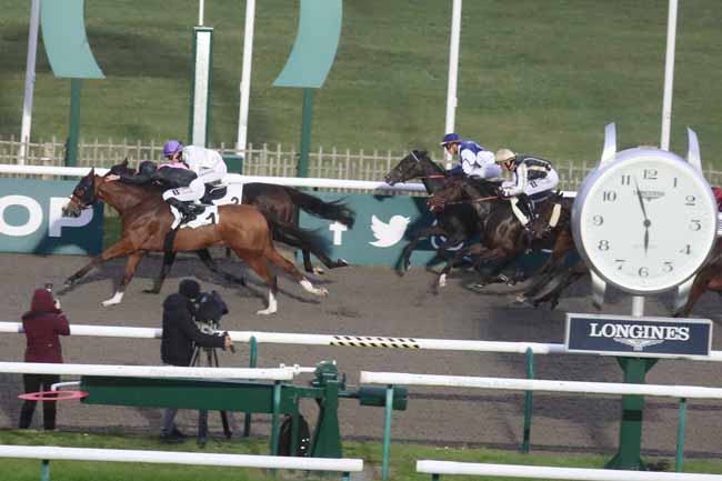 Photo d'arrivée de la course pmu PRIX DU CHENE DE LA BASSE POMMERAIE à CHANTILLY le Jeudi 26 octobre 2023