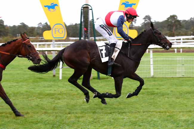 Photo d'arrivée de la course pmu PRIX COLONEL ROBERT LABOUCHE à FONTAINEBLEAU le Jeudi 26 octobre 2023