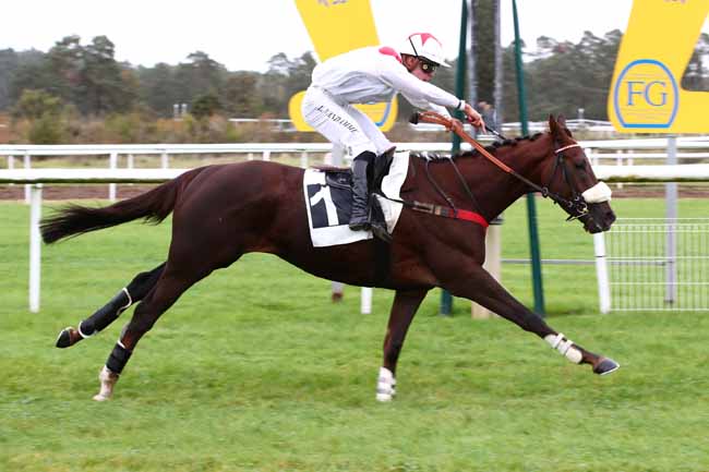 Photo d'arrivée de la course pmu PRIX ANDRE PAROT à FONTAINEBLEAU le Jeudi 26 octobre 2023