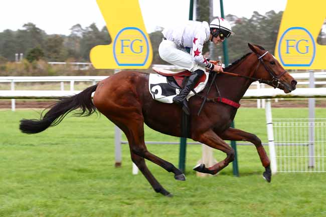Photo d'arrivée de la course pmu PRIX DU CONSEIL MUNICIPAL DE CHAMPAGNE-SUR-SEINE à FONTAINEBLEAU le Jeudi 26 octobre 2023