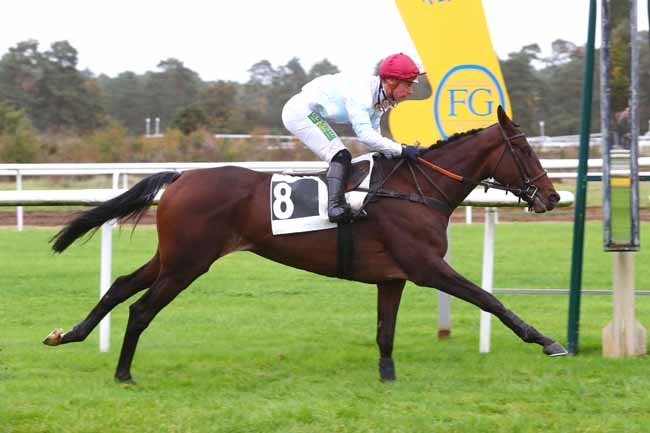 Photo d'arrivée de la course pmu PRIX PATRICE QUENEDEY à FONTAINEBLEAU le Jeudi 26 octobre 2023