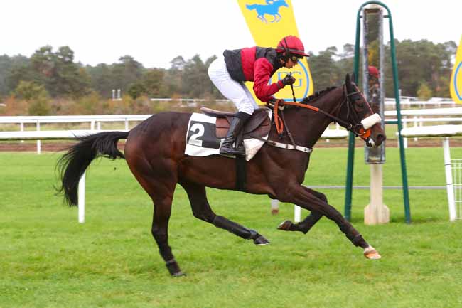 Photo d'arrivée de la course pmu PRIX COMTE ANTOINE DE GONTAUT-BIRON à FONTAINEBLEAU le Jeudi 26 octobre 2023