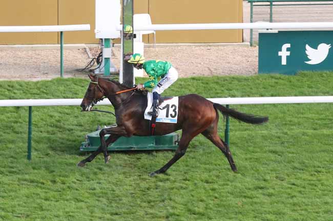 Photo d'arrivée de la course pmu PRIX LE PARISIEN - PRIX RIEUSSEC à LONGCHAMP le Dimanche 29 octobre 2023