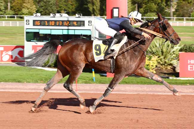 Photo d'arrivée de la course pmu PRIX DE MAINVILLIERS à ENGHIEN le Dimanche 29 octobre 2023